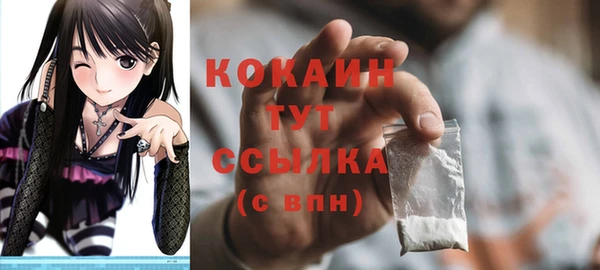стафф Каменка