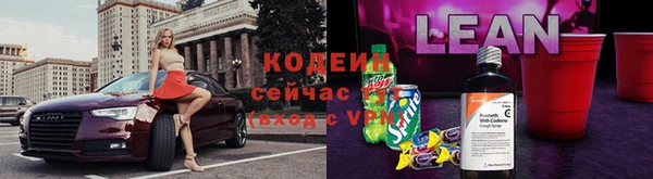 apvp Горнозаводск