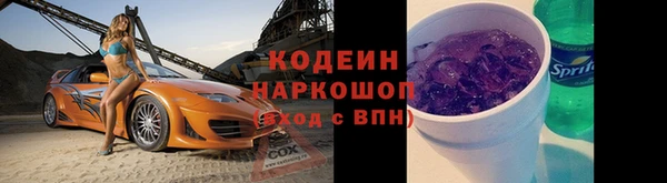 шишки Инта