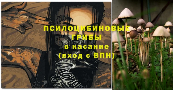 дживик Каменногорск
