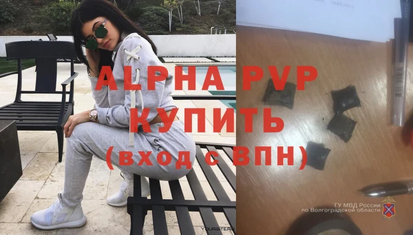 стафф Горно-Алтайск