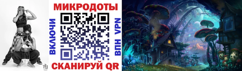 Галлюциногенные грибы Psilocybe купить Дмитровск